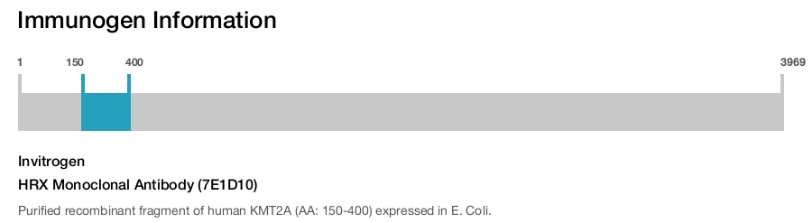 HRX Monoclonal Antibody (7E1D10)