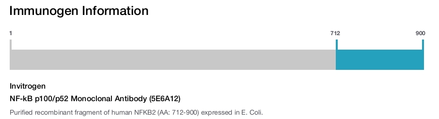 NF-kB p100/p52 Monoclonal Antibody (5E6A12)