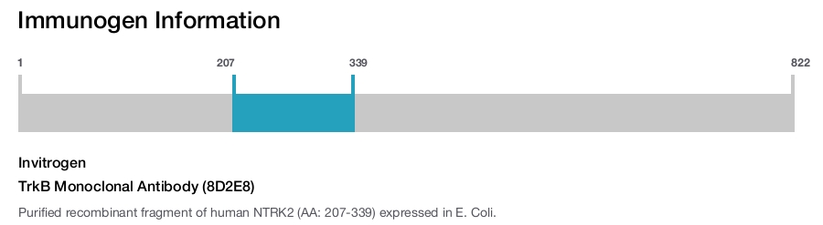 TrkB Monoclonal Antibody (8D2E8)