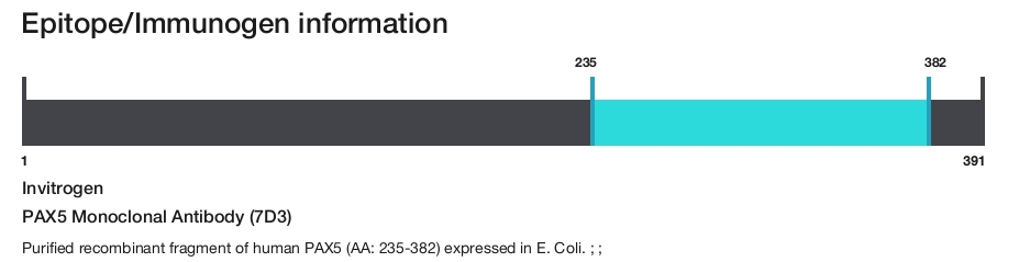 PAX5 Monoclonal Antibody (7D3)