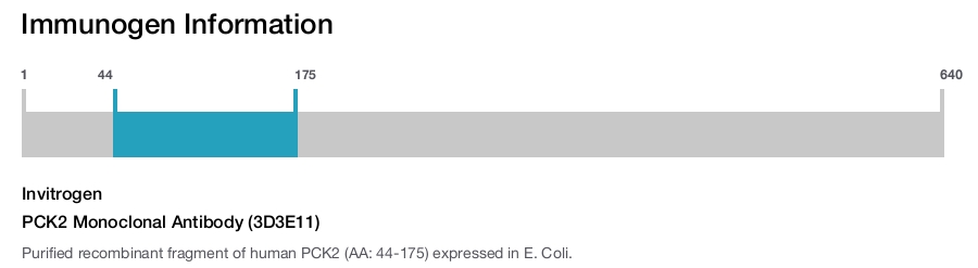PCK2 Monoclonal Antibody (3D3E11)