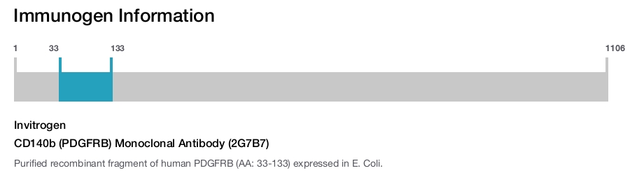 CD140b (PDGFRB) Monoclonal Antibody (2G7B7)