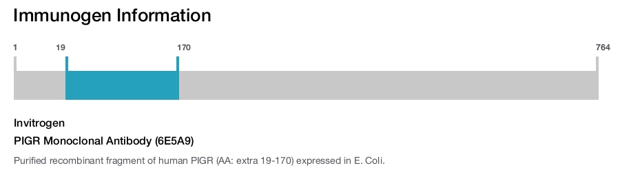 PIGR Monoclonal Antibody (6E5A9)