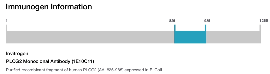 PLCG2 Monoclonal Antibody (1E10C11)
