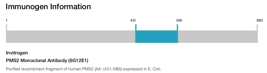 PMS2 Monoclonal Antibody (6G12E1)