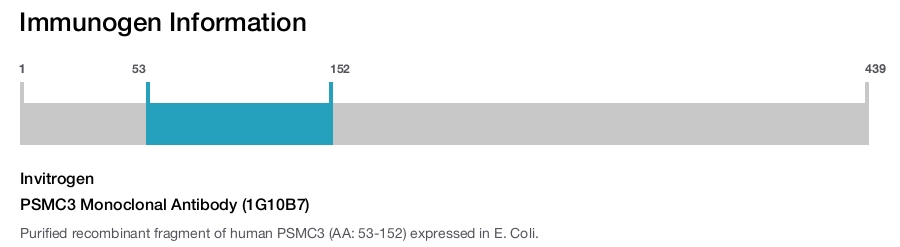 PSMC3 Monoclonal Antibody (1G10B7)