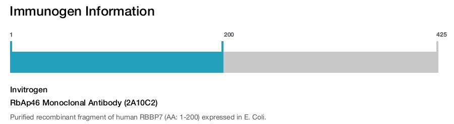 RbAp46 Monoclonal Antibody (2A10C2)