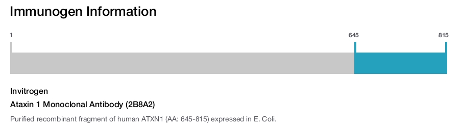 Ataxin 1 Monoclonal Antibody (2B8A2)
