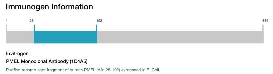 PMEL Monoclonal Antibody (1D4A5)