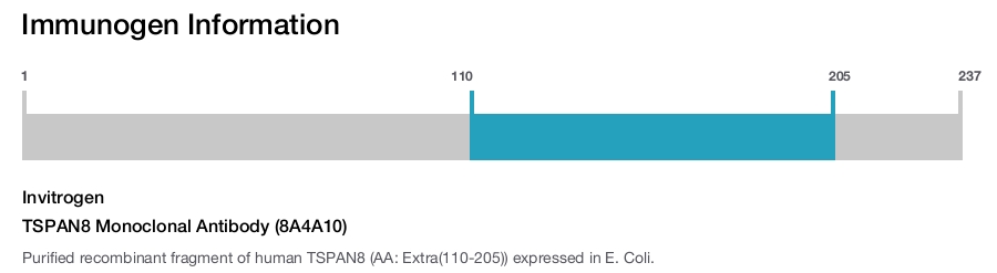 TSPAN8 Monoclonal Antibody (8A4A10)