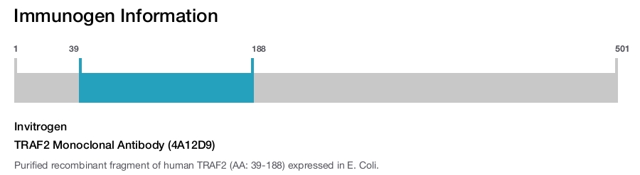 TRAF2 Monoclonal Antibody (4A12D9)
