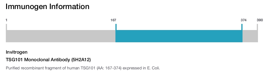 TSG101 Monoclonal Antibody (5H2A12)