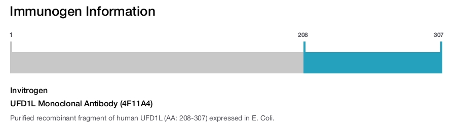 UFD1L Monoclonal Antibody (4F11A4)