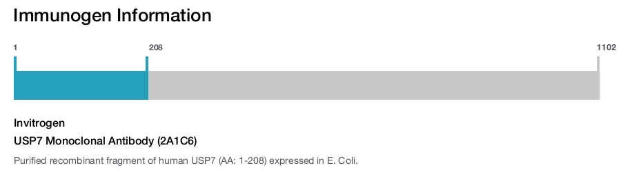 USP7 Monoclonal Antibody (2A1C6)
