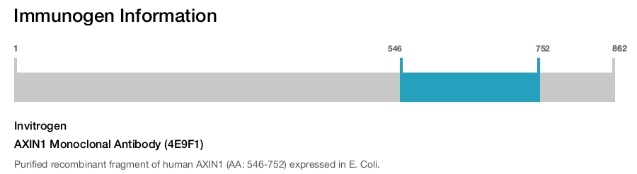 AXIN1 Monoclonal Antibody (4E9F1)