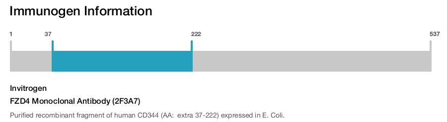 FZD4 Monoclonal Antibody (2F3A7)
