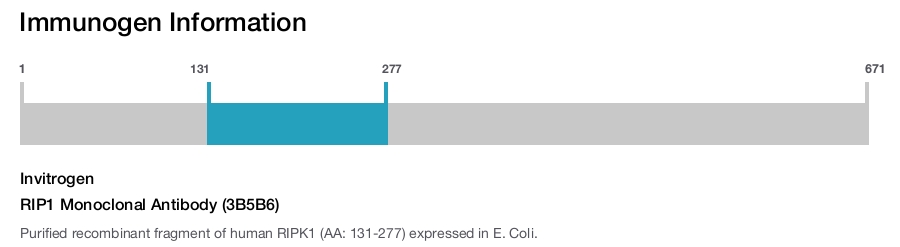 RIP1 Monoclonal Antibody (3B5B6)