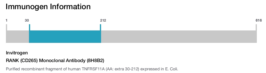 RANK (CD265) Monoclonal Antibody (8H8B2)