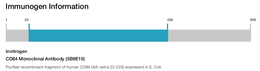 CD84 Monoclonal Antibody (5B9E10)