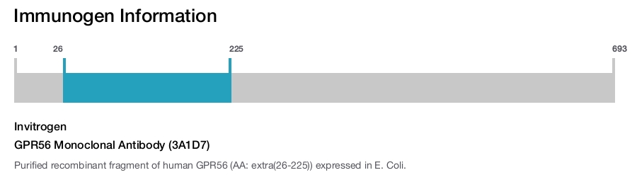 GPR56 Monoclonal Antibody (3A1D7)