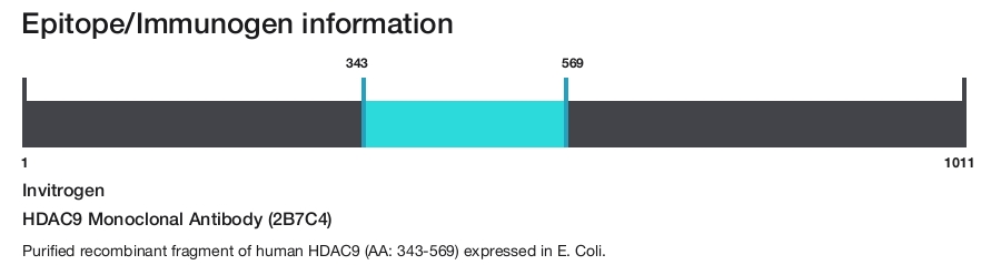 HDAC9 Monoclonal Antibody (2B7C4)