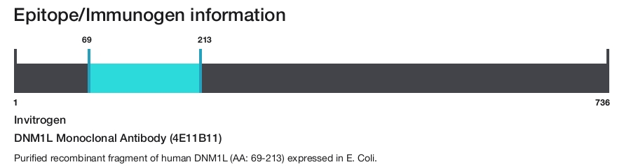 DNM1L Monoclonal Antibody (4E11B11)