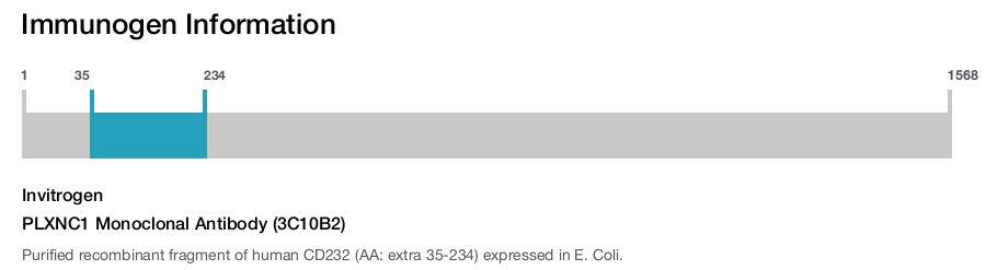 PLXNC1 Monoclonal Antibody (3C10B2)