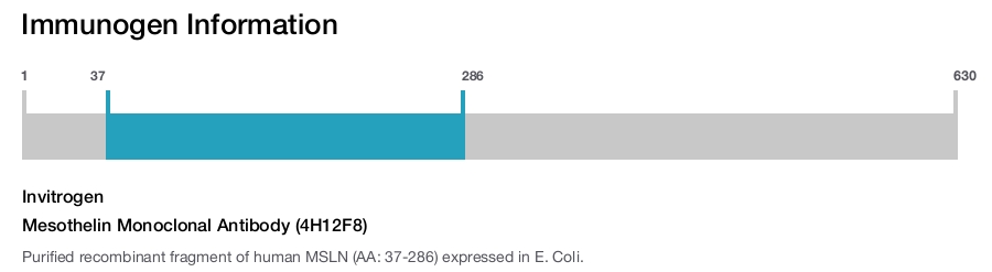 Mesothelin Monoclonal Antibody (4H12F8)