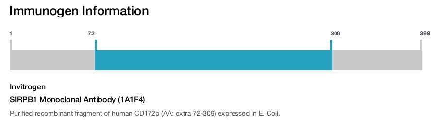 SIRPB1 Monoclonal Antibody (1A1F4)
