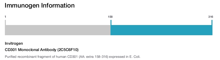 CD301 Monoclonal Antibody (2C5C6F10)