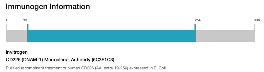 CD226 (DNAM-1) Monoclonal Antibody (5C3F1C3)