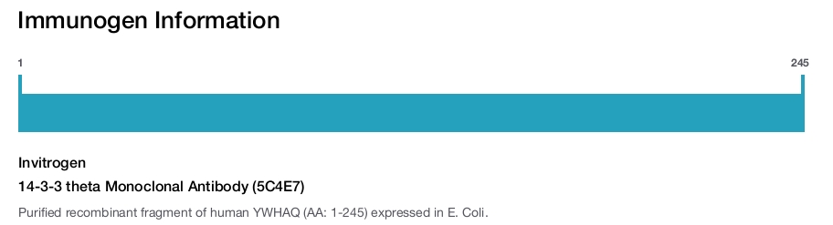 14-3-3 theta Monoclonal Antibody (5C4E7)