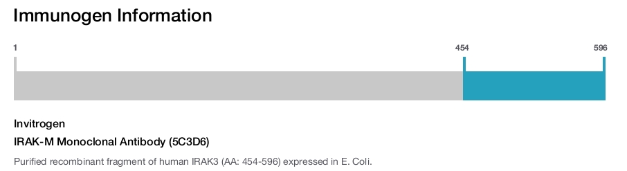 IRAK-M Monoclonal Antibody (5C3D6)
