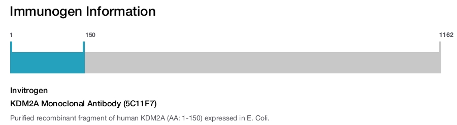 KDM2A Monoclonal Antibody (5C11F7)