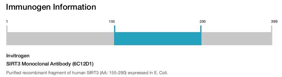 SIRT3 Monoclonal Antibody (6C12D1)