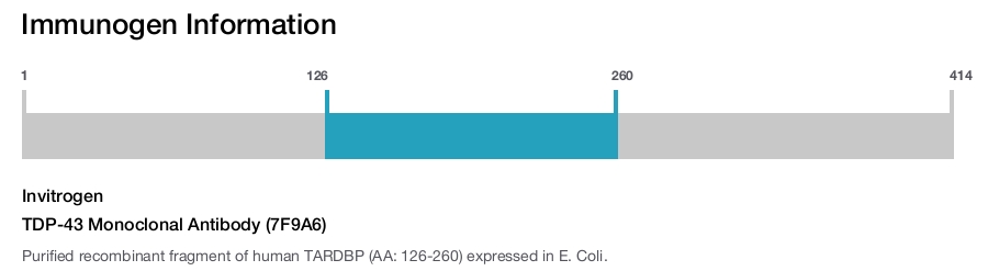 TDP-43 Monoclonal Antibody (7F9A6)