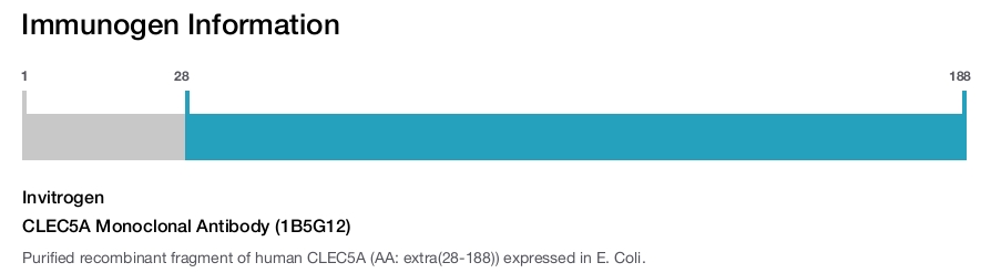 CLEC5A Monoclonal Antibody (1B5G12)