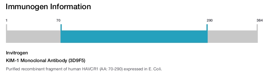 KIM-1 Monoclonal Antibody (3D9F5)