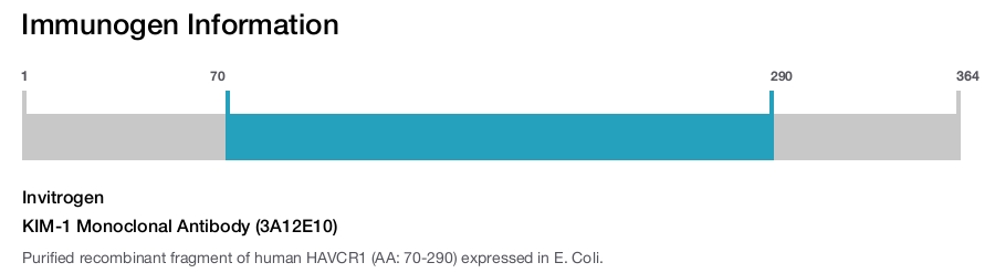 KIM-1 Monoclonal Antibody (3A12E10)
