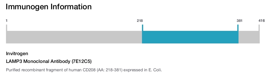 LAMP3 Monoclonal Antibody (7E12C5)