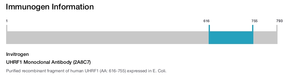 UHRF1 Monoclonal Antibody (2A8C7)