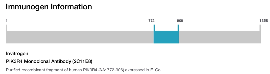 PIK3R4 Monoclonal Antibody (2C11E8)