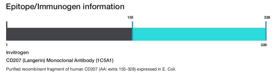 CD207 (Langerin) Monoclonal Antibody (1C5A1)