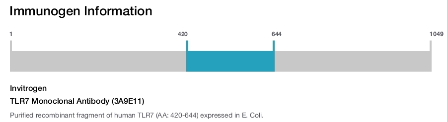 TLR7 Monoclonal Antibody (3A9E11)