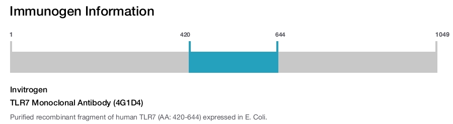 TLR7 Monoclonal Antibody (4G1D4)