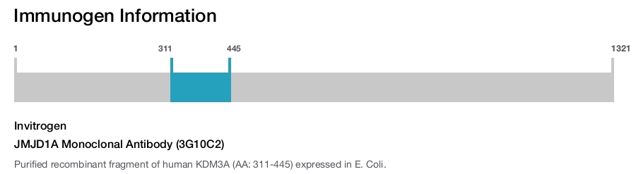 JMJD1A Monoclonal Antibody (3G10C2)