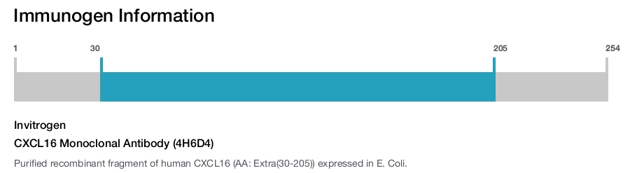 CXCL16 Monoclonal Antibody (4H6D4)