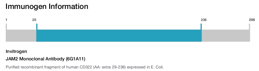 JAM2 Monoclonal Antibody (6G1A11)