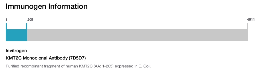 KMT2C Monoclonal Antibody (7D5D7)