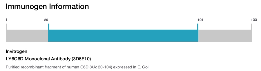 LY6G6D Monoclonal Antibody (3D6E10)